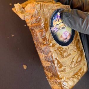 Golden Boys Farm | Premium Static Sift Hash Concentrate